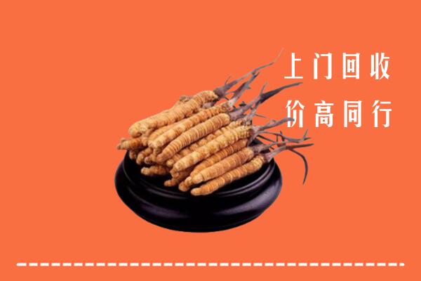 高价求购：商丘市永城市回收散虫草