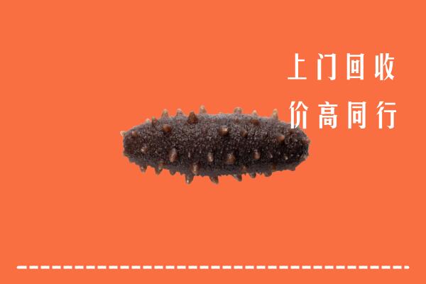 高价求购：商丘市永城市回收海参